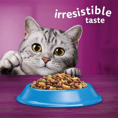 Grey tabby cat looking at a blue bowl filled with mixed dry cat food. Text reads: irresistible taste.