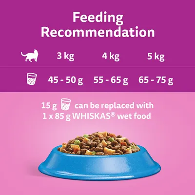 Feeding guide for cats: 3 kg 45–50 g, 4 kg 55–65 g, 5 kg 65–75 g. 15 g can be replaced with 1 x 85 g WHISKAS wet food. Blue bowl of dry cat food shown.
