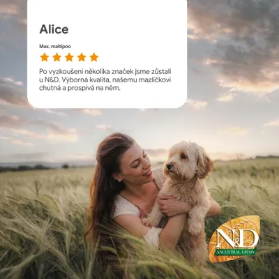 Hodnocení zákazníka Alice pro N&D Ancestral Grain s 5 hvězdičkami a pozitivní zkušeností v češtině. Hodnocení zákazníka Alice pro N&D Ancestral Grain s 5 hvězdičkami a pozitivní zkušeností v češtině.