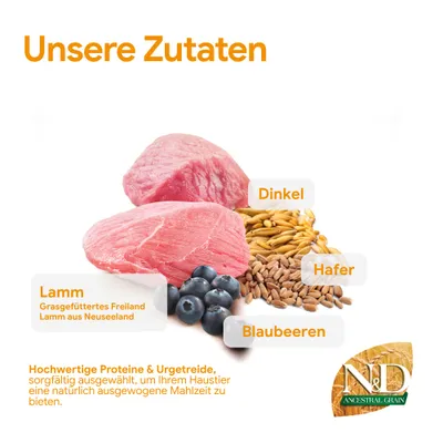 Unsere Zutaten: Lamm (Grasgefüttertes Freiland Lamm aus Neuseeland), Dinkel, Hafer, Blaubeeren. Hochwertige Proteine & Urgetreide für eine natürlich ausgewogene Mahlzeit.