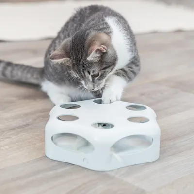 Kočka si hraje s bílou interaktivní hračkou s otvory na podlaze, viditelné plastové provedení a několik otvorů pro tlapky.