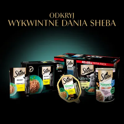 Różne produkty karmy dla kotów Sheba, w tym Delicacy, Nature's Collection oraz Kitten, w puszkach, tackach i saszetkach. Tekst: Odkryj Wykwintne Dania Sheba. Różne produkty karmy dla kotów Sheba, w tym Delicacy, Nature's Collection oraz Kitten, w puszkach, tackach i saszetkach. Tekst: Odkryj Wykwintne Dania Sheba.