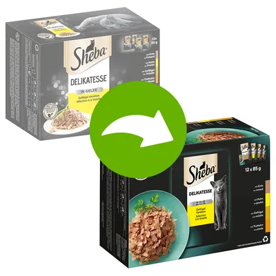 Sheba Delikatesse i gelé, fågelvariation, 12 x 85g. Förpackningsändring visas med grön pil.
