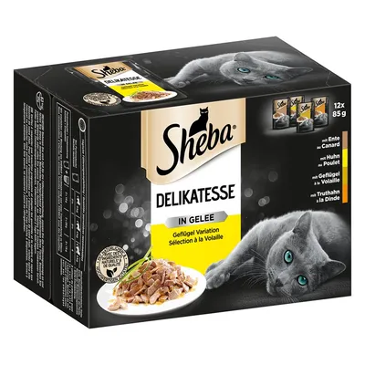 Sheba Delikatesse in Gelee, Geflügel Variation. 12 x 85 g. Met eend, kip, gevogelte en kalkoen. Afbeelding van kattenvoer op bord en grijze kat op de verpakking.