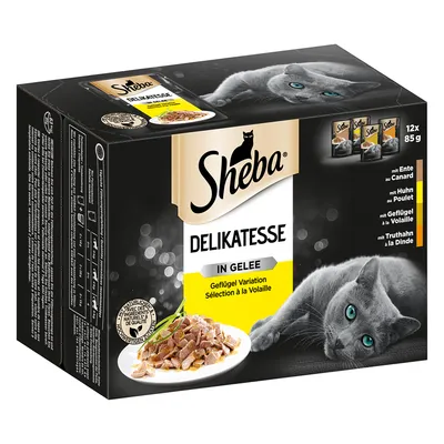 Embalagem de Sheba Delikatesse in Gelee, seleção de aves, 12x85 g. Texto visível: Ente, Huhn, Geflügel, Truthahn. Imagem de um prato com comida húmida e gato cinzento.