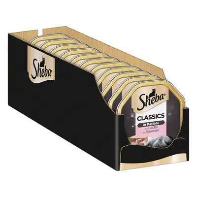 Упаковка паучей Sheba Classics in Pastete mit Lachs au Saumon, видны индивидуальные контейнеры с логотипом и названием продукта на передней этикетке.