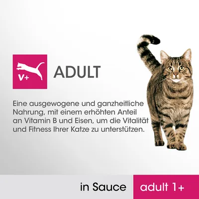 ADULT V+ in Sauce adult 1+. Text în germană: alimentație echilibrată și holistică pentru pisici adulte, cu conținut ridicat de vitamina B și fier. Imagine cu o pisică tigrată.
