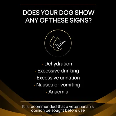 Signs listed: dehydration, excessive drinking, excessive urination, nausea or vomiting, anaemia. Recommendation: seek a veterinarian’s opinion before use.