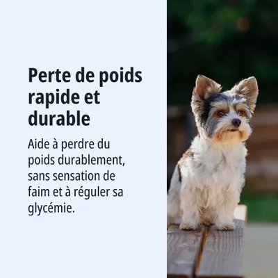 Perte de poids rapide et durable. Aide à perdre du poids durablement, sans sensation de faim et à réguler sa glycémie.