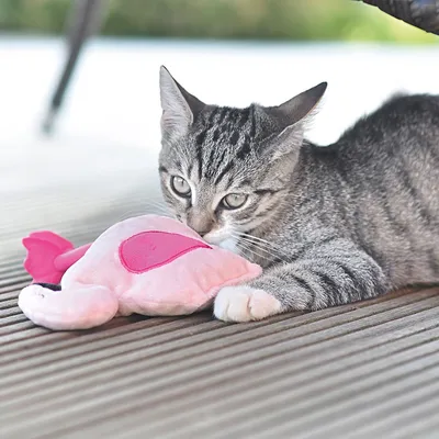 Graue Katze spielt mit rosa Plüschspielzeug in Form eines Vogels auf einer Holzterrasse.