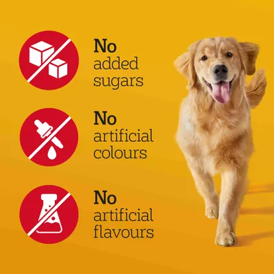 No added sugars, no artificial colours, no artificial flavours. Text shown beside icons on yellow background with a dog.