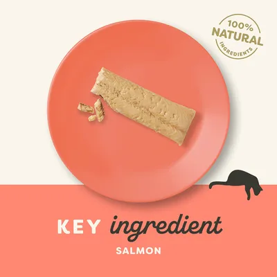 100% NATURAL INGREDIENTS. KEY ingredient SALMON. Prikaz komada lososa na narančastom tanjuru. Tekst na engleskom jeziku.