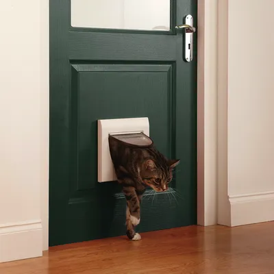 Cat flap in green door, with a cat passing through. Shows the function of the flap for pets.