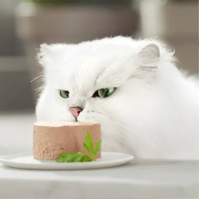 Икономична опаковка Gourmet Gold Melting Heart 48 x 85 Икономична опаковка Gourmet Gold Melting Heart 48 x 85