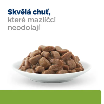 Miska s masovými kousky v omáčce, text: Skvělá chuť, které mazlíčci neodolají.