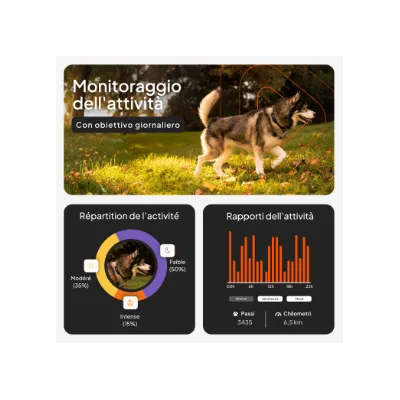 Grafico per il monitoraggio dell'attività con obiettivo giornaliero, distribuzione dell'attività in percentuale e rapporto sull'attività: 3435 passi, 6,5 km. Testi in italiano e francese. Grafico per il monitoraggio dell'attività con obiettivo giornaliero, distribuzione dell'attività in percentuale e rapporto sull'attività: 3435 passi, 6,5 km. Testi in italiano e francese.