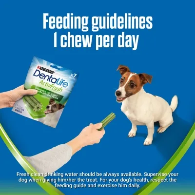 Purina Dentalife ActivFresh dog chews, feeding guidelines: 1 chew per day. Image shows a hand holding a chew towards a small dog. Text advises fresh water and supervision.
