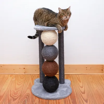 Cat tree with four sisal balls in different colours and a grey lying surface. Cat is lying on top of the surface.