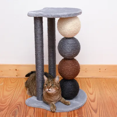 Cat tree with three sisal posts and four colourful balls made of rope material. Cat lying on the base of the cat tree.