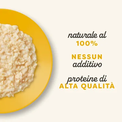 Applaws Natural Kitten in brodo 12 x 50 g