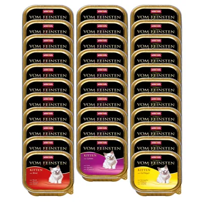 Vinte e quatro embalagens de comida húmida para gatos Animonda Vom Feinsten Kitten, visíveis variedades: Rind, Lamm, Geflügel. Embalagens quadradas com imagem de um gatinho branco.