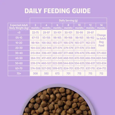 bosch HPC Soft Mini Strauß & Kartoffel Hundesnack<br>Enkelt protein, semi-fugtig snack til voksne hunde, med strudsekød som eneste animalske proteinkilde, kartoffel som kulhydratkilde, uden korn, blid tilberedning, høj accept, <br>100 g bosch HPC Soft Mini Strauß & Kartoffel Hundesnack<br>Enkelt protein, semi-fugtig snack til voksne hunde, med strudsekød som eneste animalske proteinkilde, kartoffel som kulhydratkilde, uden korn, blid tilberedning, høj accept, <br>100 g