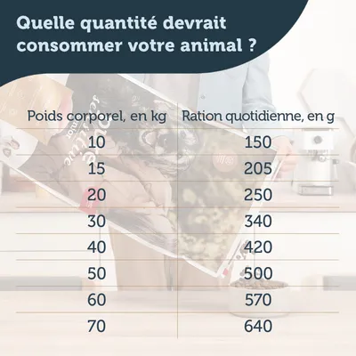Tableau des rations quotidiennes : poids corporel 10 kg 150 g, 15 kg 205 g, 20 kg 250 g, 30 kg 340 g, 40 kg 420 g, 50 kg 500 g, 60 kg 570 g, 70 kg 640 g.