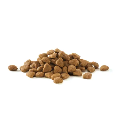 Hnedé granule v tvare malých kúskov nasypané na bielom pozadí, detailný pohľad na suché krmivo pre domáce zvieratá bez viditeľnej značky alebo obalu.