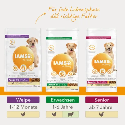 IAMS for Vitality -koiranruokapakkaukset: Puppy 1–12 kk, Adult 1+ v, Senior 7+ v. Teksti saksaksi: Für jede Lebensphase das richtige Futter. Ikäryhmät ja eläinikonit näkyvissä.