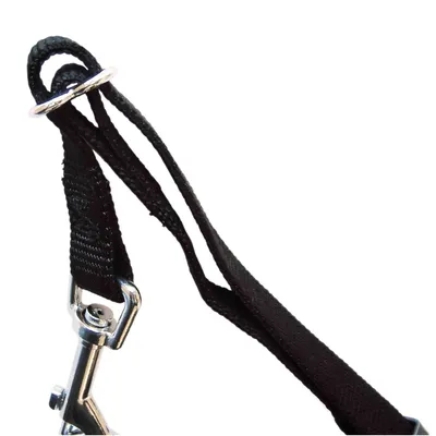Black dog lead with metal carabiner and sturdy loop for secure grip.