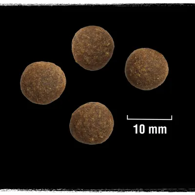 Četiri okrugle smeđe granule hrane, prikazane uz mjerilo od 10 mm za usporedbu veličine.