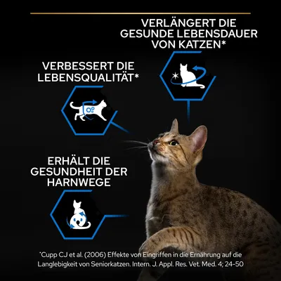 Verlängert die gesunde Lebensdauer von Katzen, verbessert die Lebensqualität, erhält die Gesundheit der Harnwege. Quelle: Cupp CJ et al. (2006).