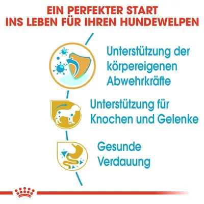 Ein perfekter Start ins Leben für Ihren Hundewelpen: Unterstützung der körpereigenen Abwehrkräfte, Unterstützung für Knochen und Gelenke, gesunde Verdauung.