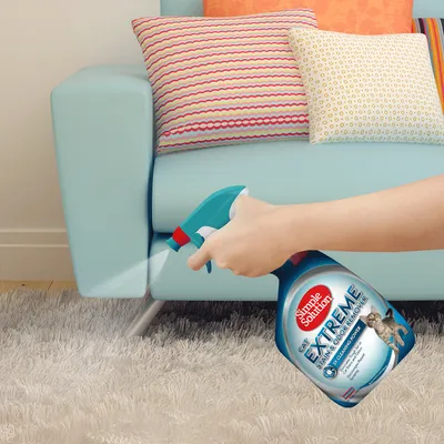 Simple Solution Extreme Flecken- und Geruchsentferner für Katzen. Hand sprüht Produkt auf Teppich vor Sofa.