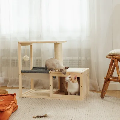 Holz-Katzenmöbel mit Kratzsäule, Hängespielzeug und zwei Ebenen. Eine Katze liegt oben, eine sitzt unten im Versteckbereich.