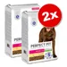 Lot PERFECT FIT pour chien
