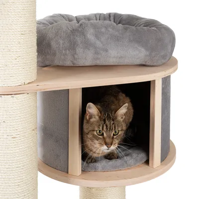 Kratzbaum mit Sisalstämmen, grauem Plüschbett oben und Katzenhöhle aus Holz mit grauer Polsterung. Katze sitzt in der Höhle.