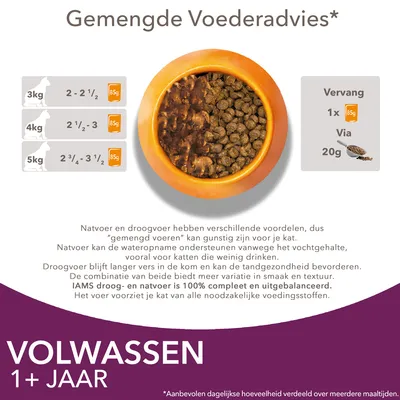 IAMS Advanced Nutrition Adult in Saus 12 x 85 g