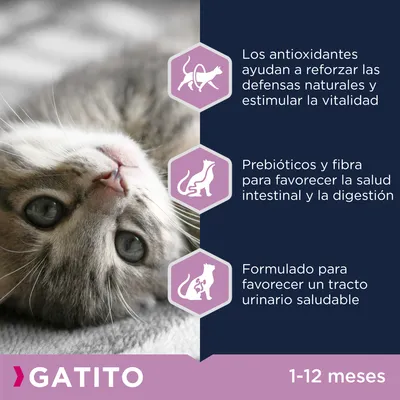 GATITO 1–12 meses. Antioxidantes refuerzan defensas y vitalidad, prebióticos y fibra para salud intestinal, formulado para tracto urinario saludable.