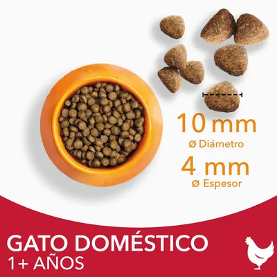 Pienso para gato doméstico 1+ años, croquetas de 10 mm de diámetro y 4 mm de espesor, cuenco naranja con pienso y croquetas sueltas visibles.