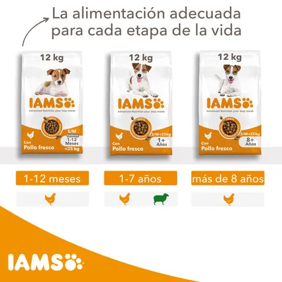 Tres sacos de pienso IAMS 12 kg con pollo fresco para perros S/M: cachorros 1-12 meses, adultos 1+ años y mayores de 8 años. Tabla de etapas: 1-12 meses, 1-7 años, más de 8 años.