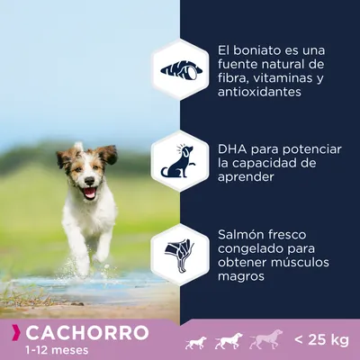 CACHORRO 1–12 meses, menos de 25 kg. El boniato es una fuente natural de fibra, vitaminas y antioxidantes. DHA para potenciar la capacidad de aprender. Salmón fresco congelado para músculos magros.