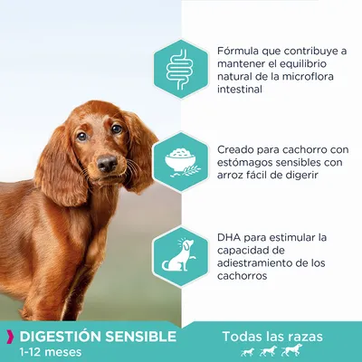 Fórmula para cachorros con digestión sensible, mantiene la microflora intestinal, arroz fácil de digerir, DHA para adiestramiento. Para todas las razas, 1–12 meses.