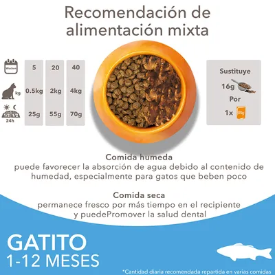 Recomendación de alimentación mixta para gatitos 1–12 meses: comida húmeda y seca, tabla de dosis diaria según peso (0,5 kg 25 g, 2 kg 55 g, 4 kg 70 g), información sobre beneficios.