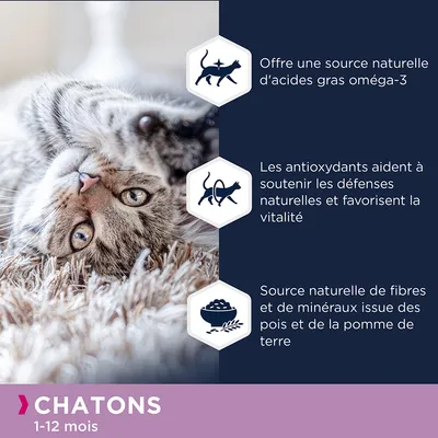 Chaton allongé, texte : offre une source naturelle d’acides gras oméga-3, antioxydants pour les défenses naturelles, fibres et minéraux issus des pois et de la pomme de terre. Chatons 1–12 mois.