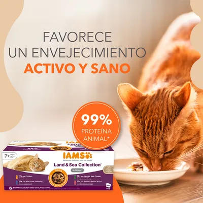 IAMS Land & Sea Collection para gatos mayores de 7 años. 99 % proteína animal. Favorece un envejecimiento activo y sano. Caja con imágenes de gato y sabores visibles.