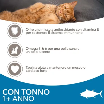 Offre una miscela antiossidante con vitamina E, Omega 3 & 6 per pelle e pelo, taurina per muscolo cardiaco. Con tonno, 1+ anno.