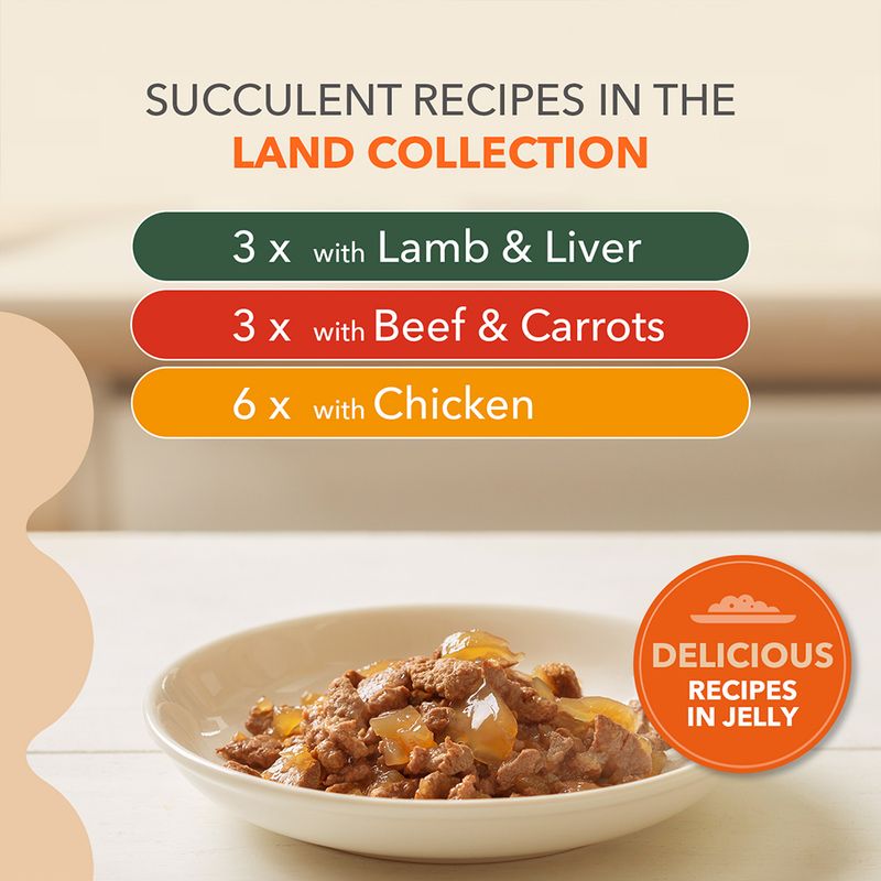 IAMS Advanced Nutrition Senior 7+ Land Collection v želé