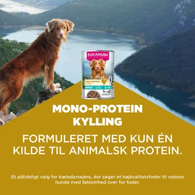 Eukanuba Mono-Protein Kylling. Formuleret med kun én kilde til animalsk protein. Til voksne hunde med foderfølsomhed. Eukanuba Mono-Protein Kylling. Formuleret med kun én kilde til animalsk protein. Til voksne hunde med foderfølsomhed.