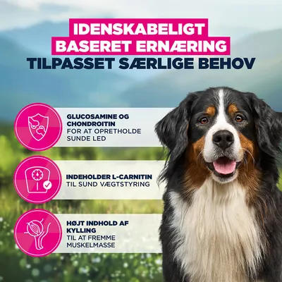 Eukanuba Adult Daily Care Sensitive Joints